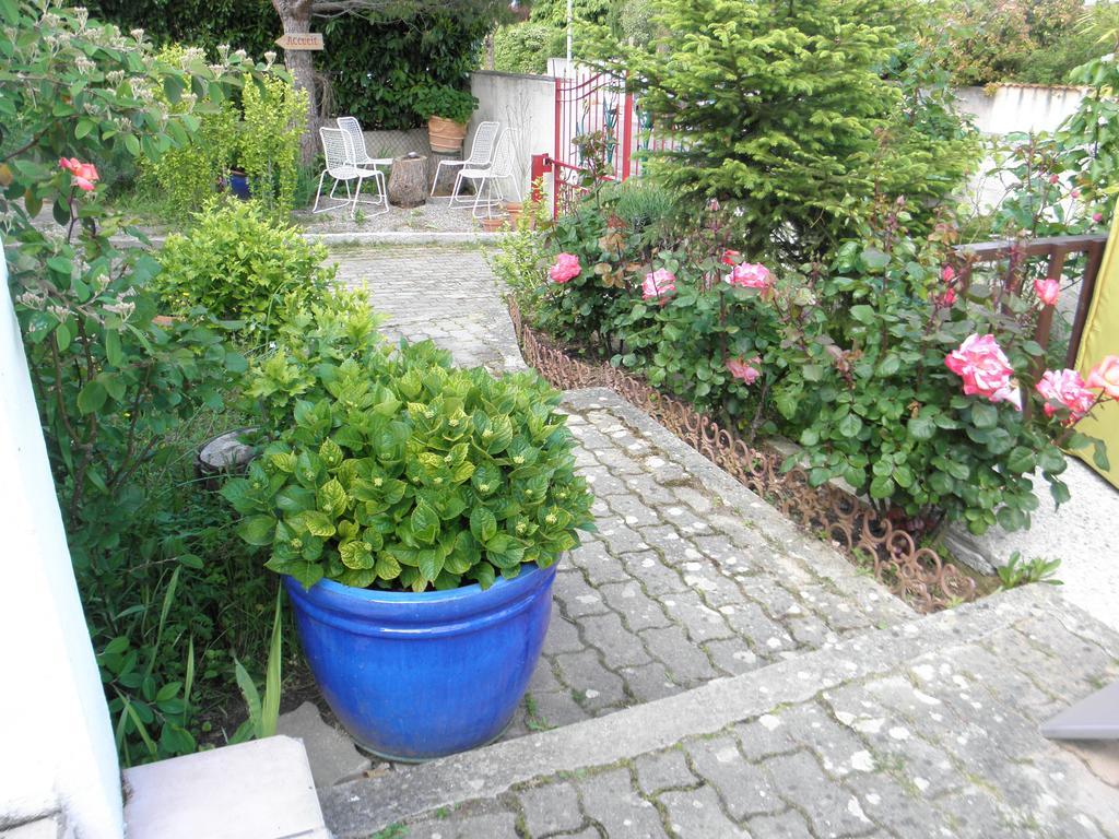 Bed & Breakfast Le Beausejour カルカソンヌ エクステリア 写真